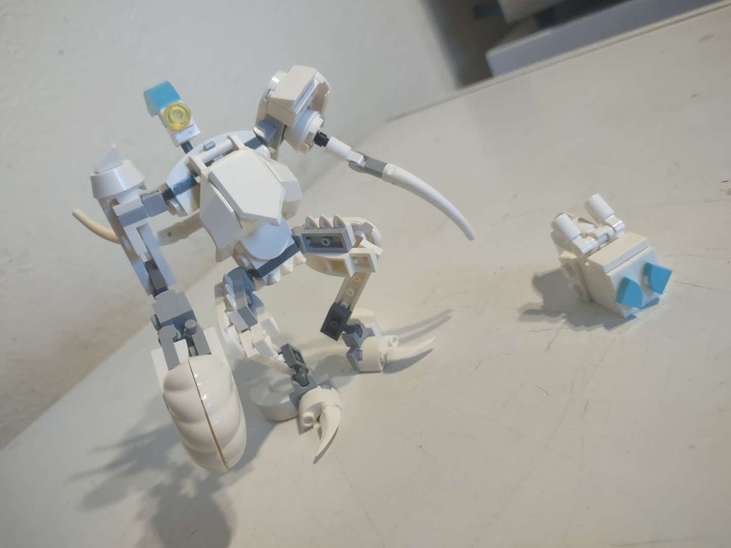 The Greater Clasper and his Slug