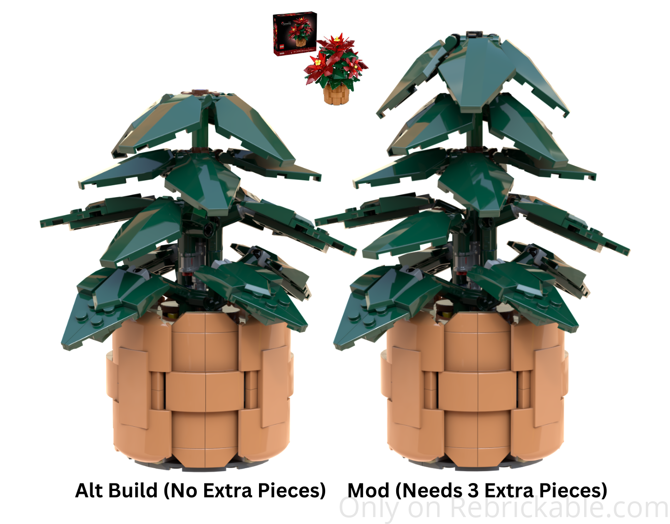 Houseplant (Poinsettia Alt Build/Modification)