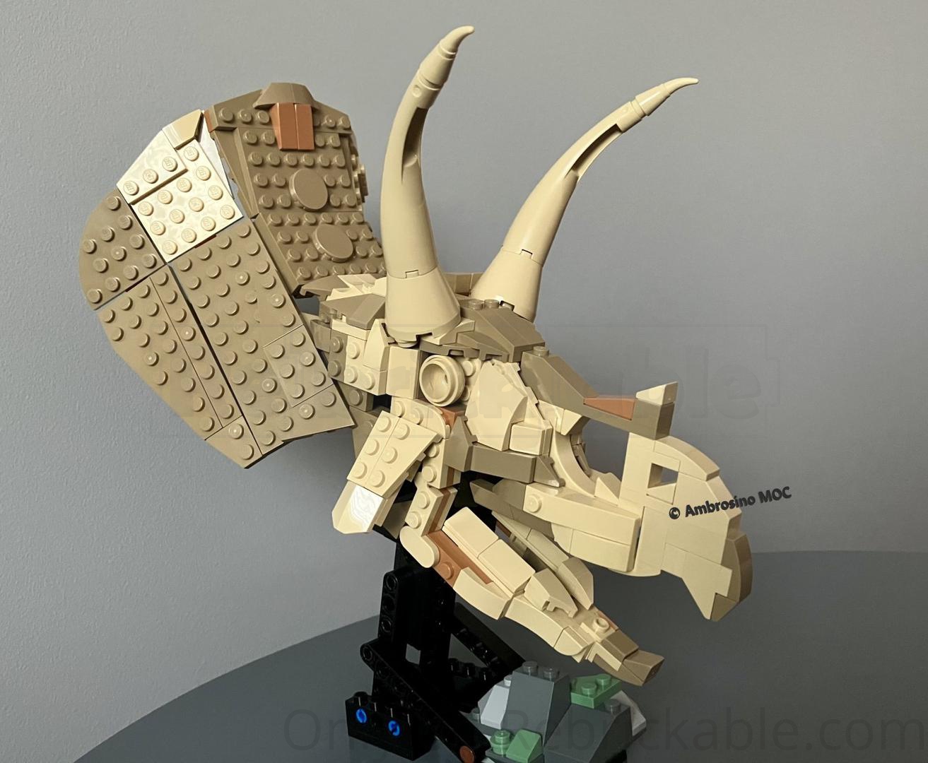 Real Triceratops horridus skull (76969 set modification)