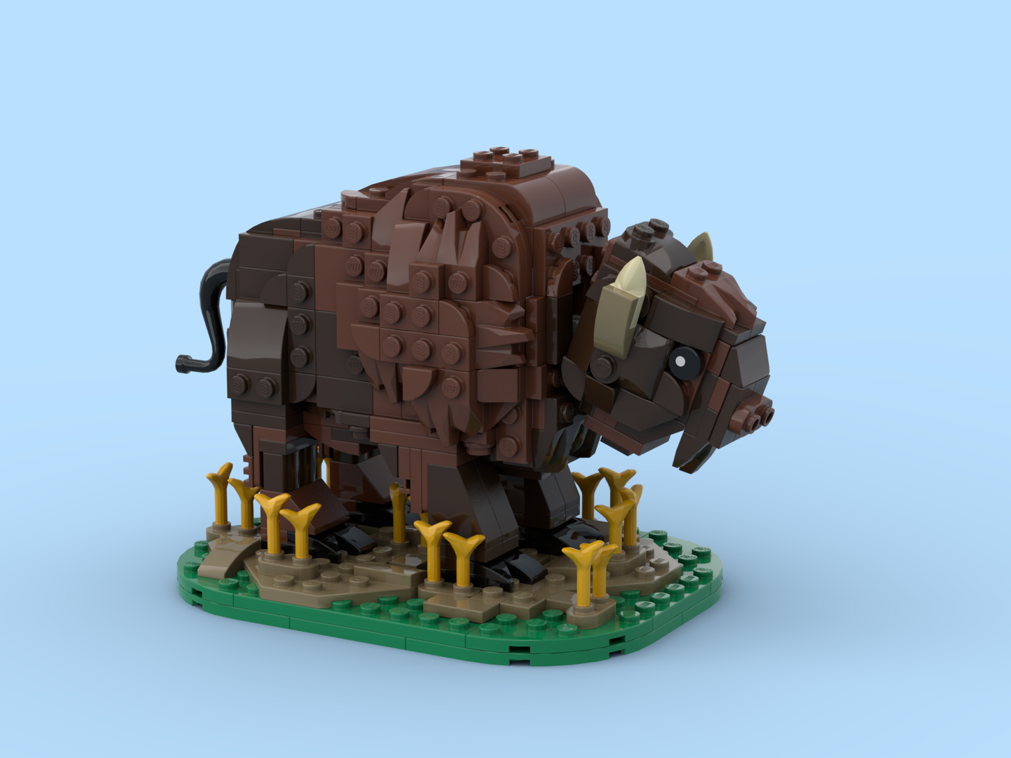 American Bison
