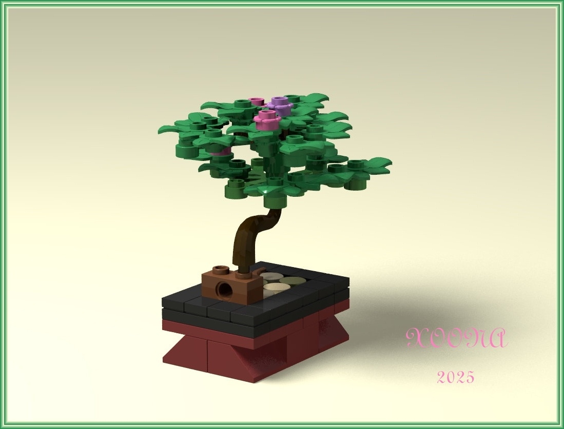 Bonsai with Blossoms