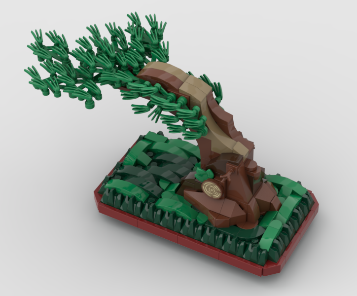 Bonsai pine in “fukinagashi” (windswept) style.