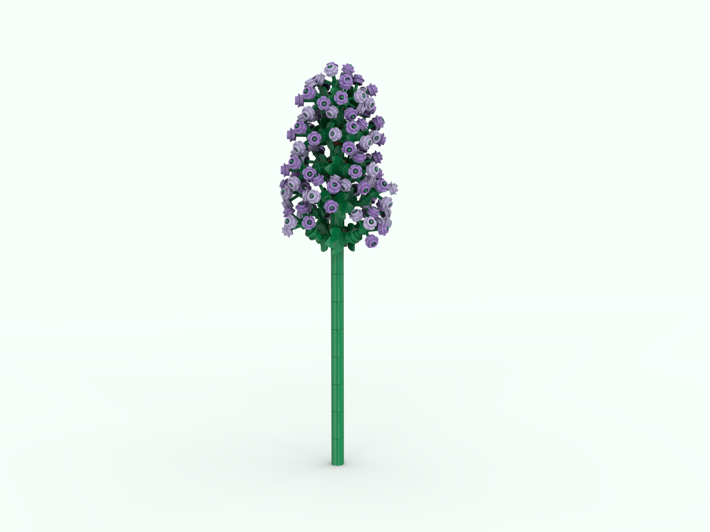 Lilac flower