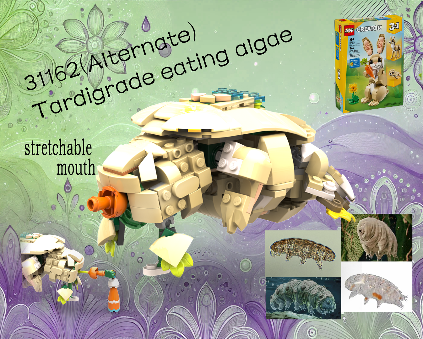 31162-Tardigrade eating algae(Alternate) alternate build