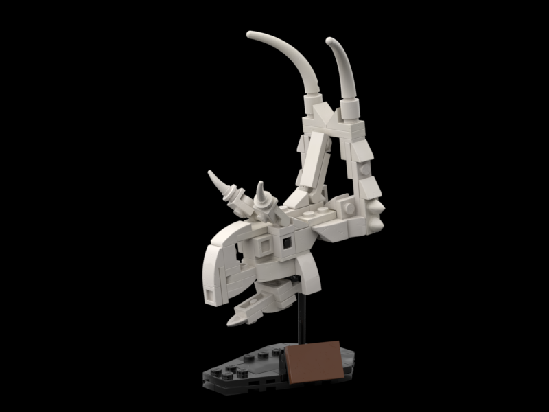 diabloceratops eatoni skull