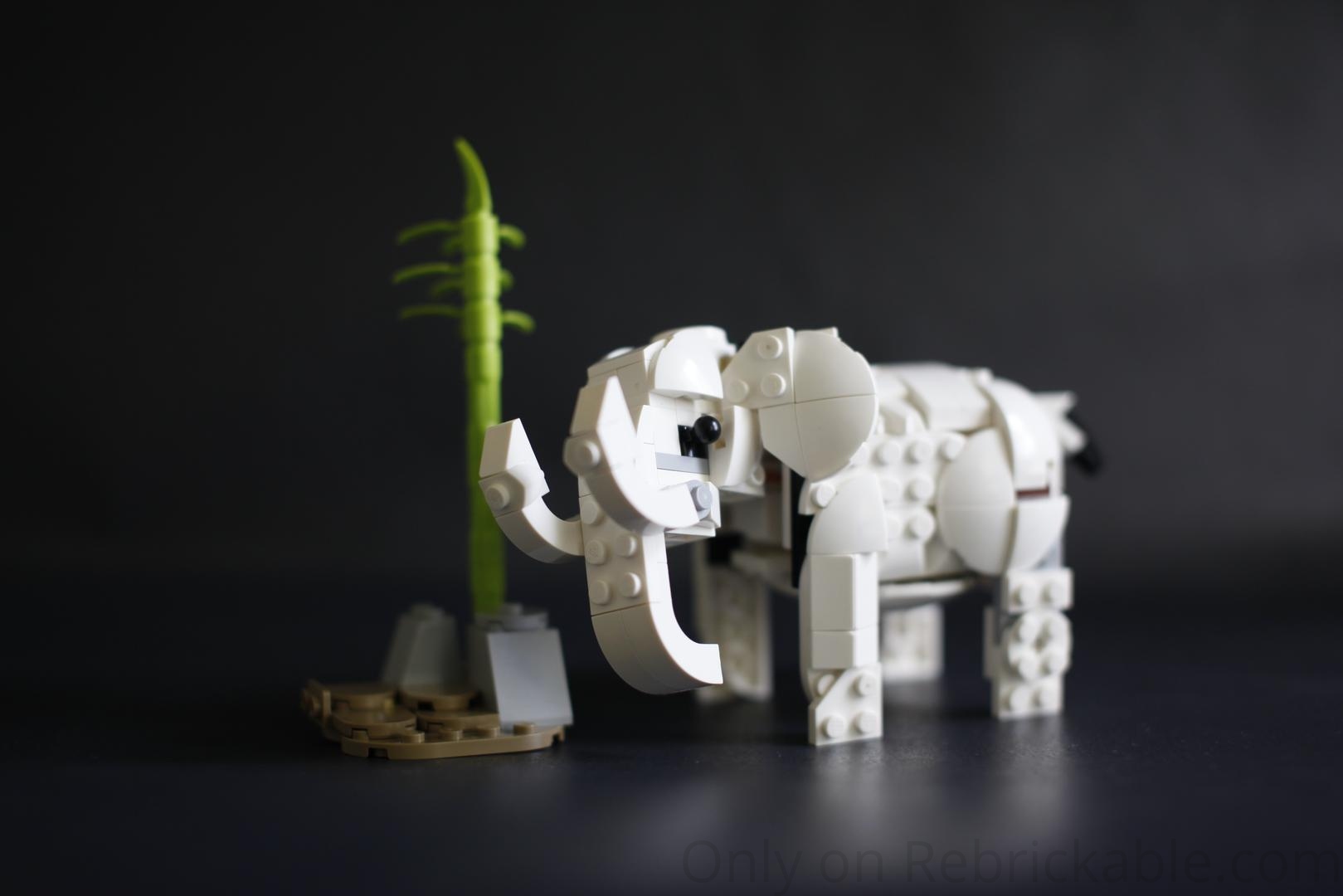 (31165) White Elephant
