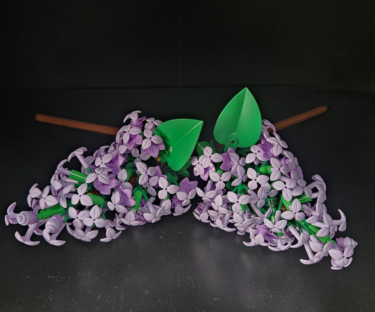 Persian Lilac Flowers