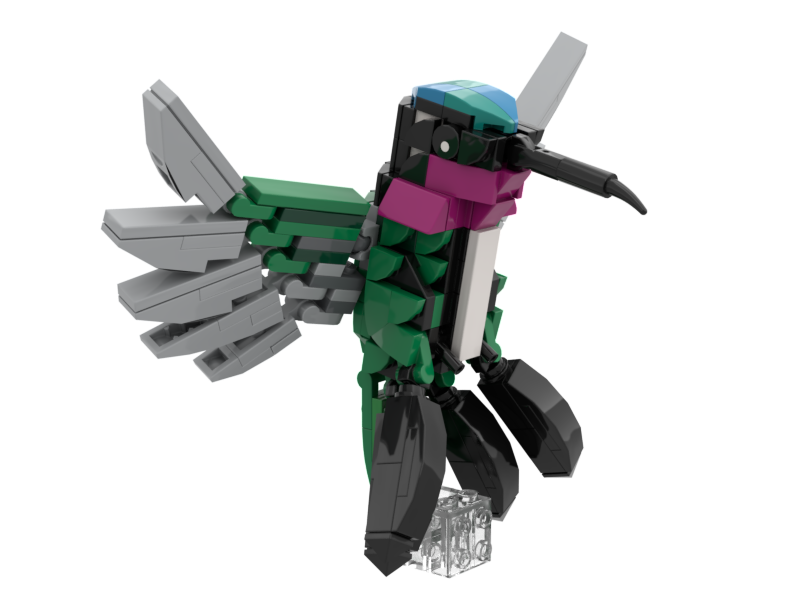 Hummingbird No. 8 (Stripe-breasted starthroat)