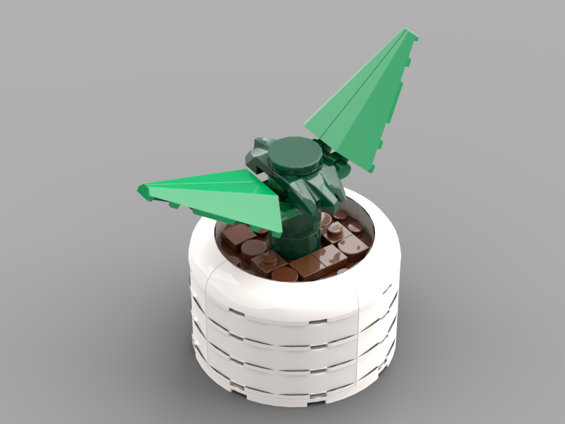 snake plant, with pot