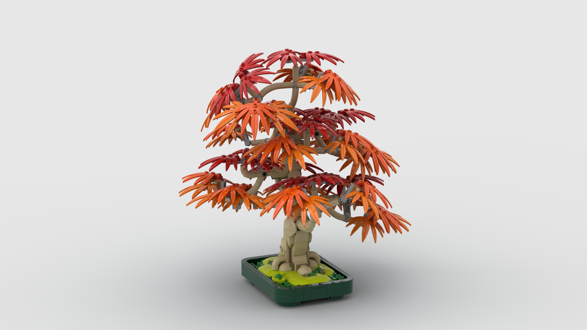 MOD - Japanese Maple Tree - Fall - bushier