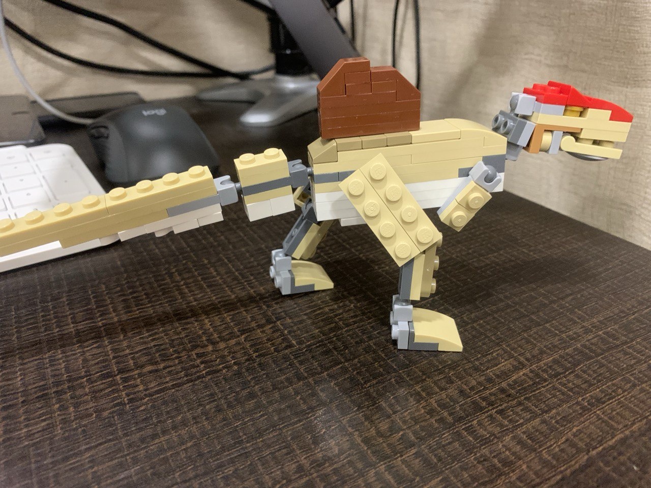 Blonde the Becklespinax/JWCT Season 1