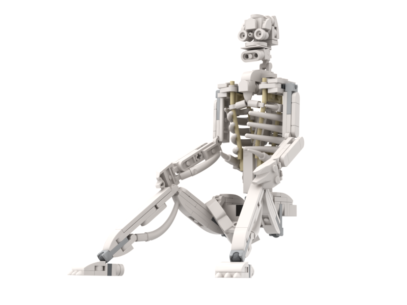 Human skeleton