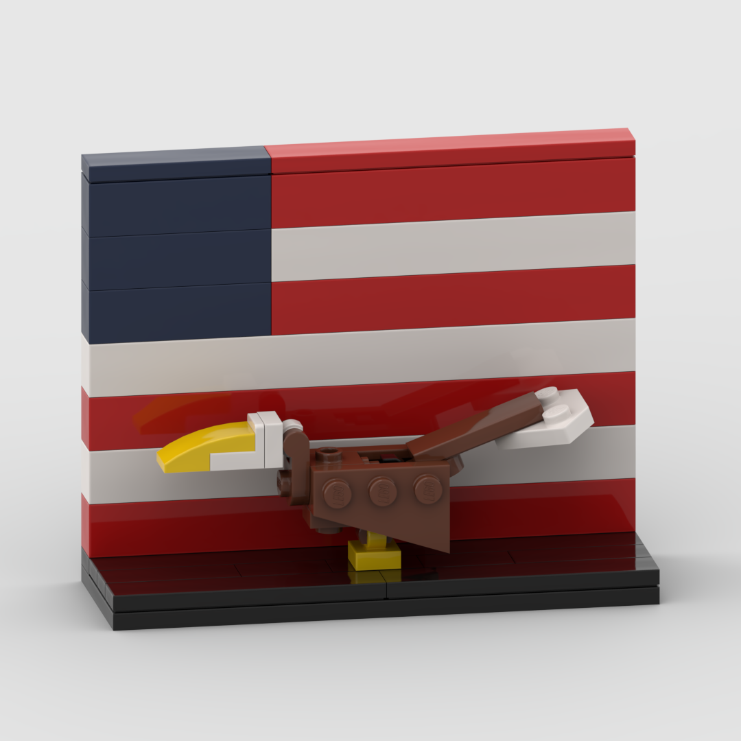 US Flag Raptor Display