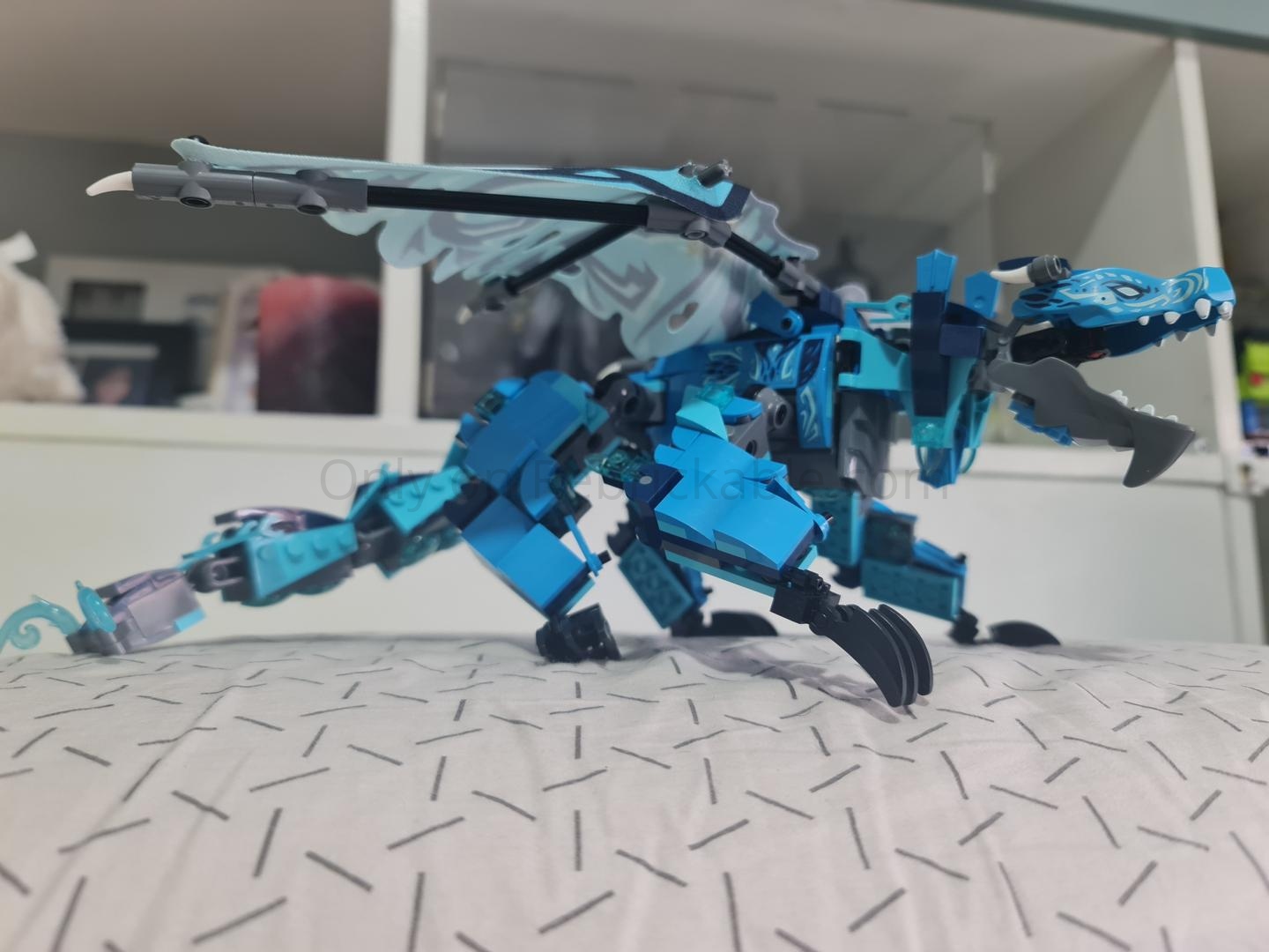 Chonkie Water Dragon