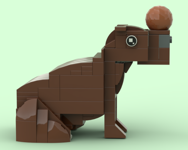 Capybara with orange