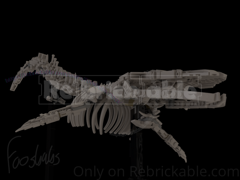 21320 Blue Whale (Balaenoptera musculus)