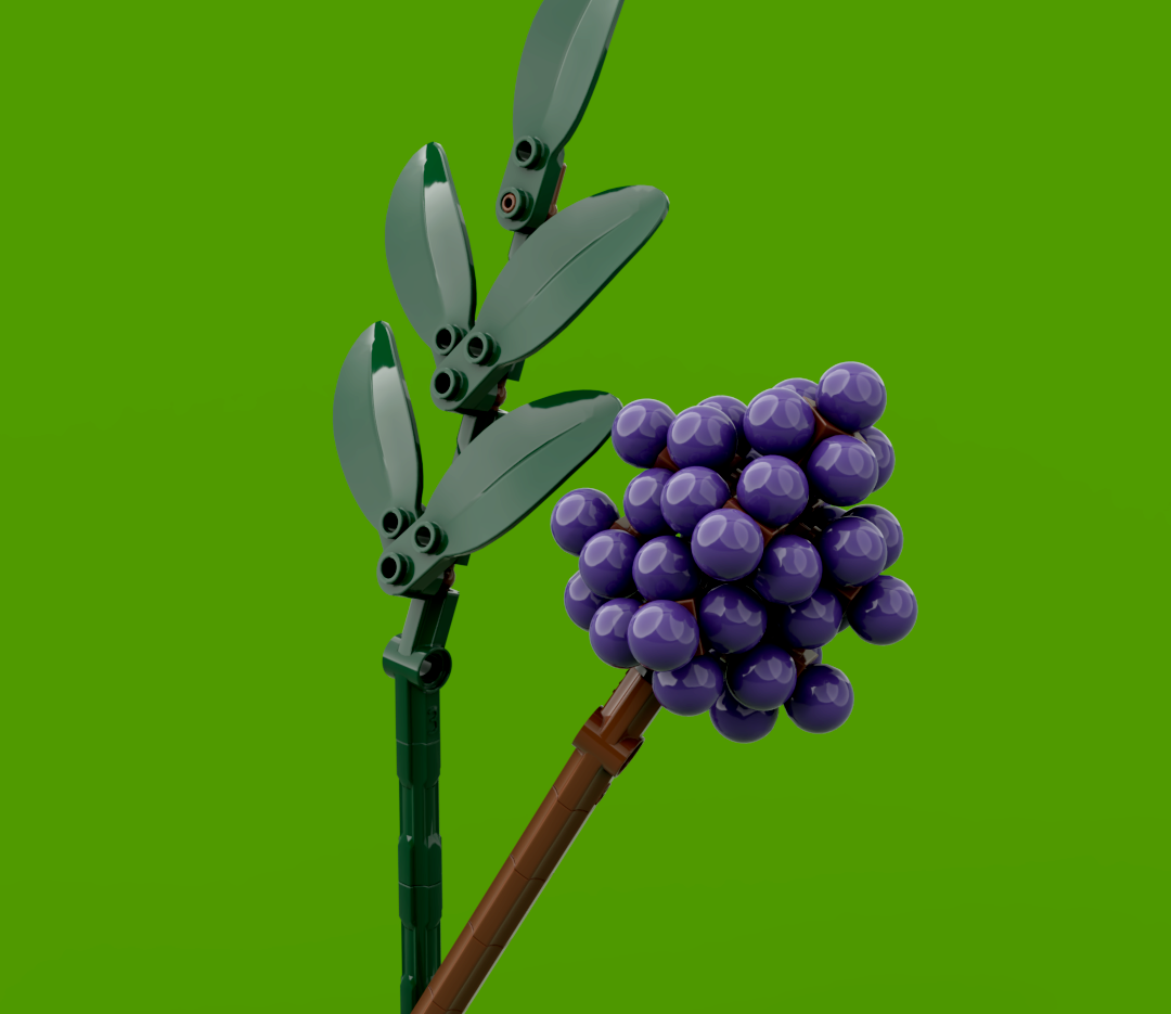 Baptisia &amp; BeautyBerry