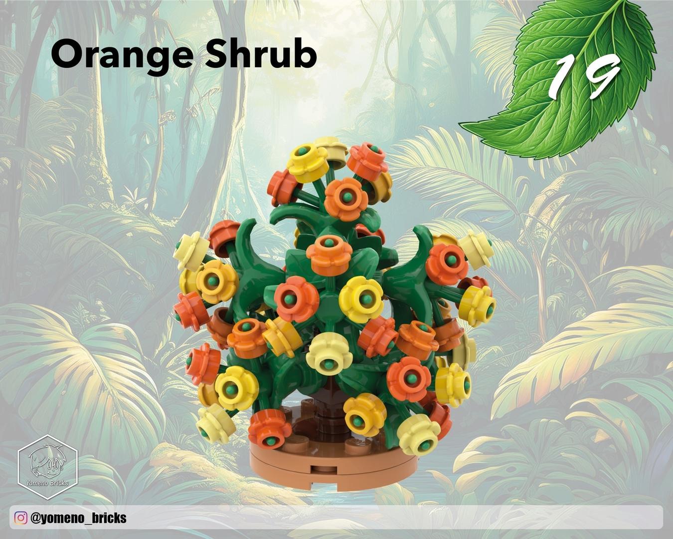 Orange Shrub