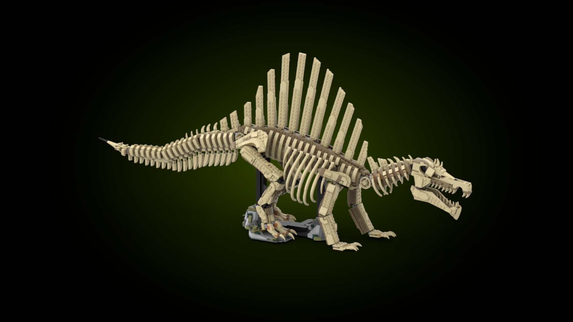 Spinosaurus fossil