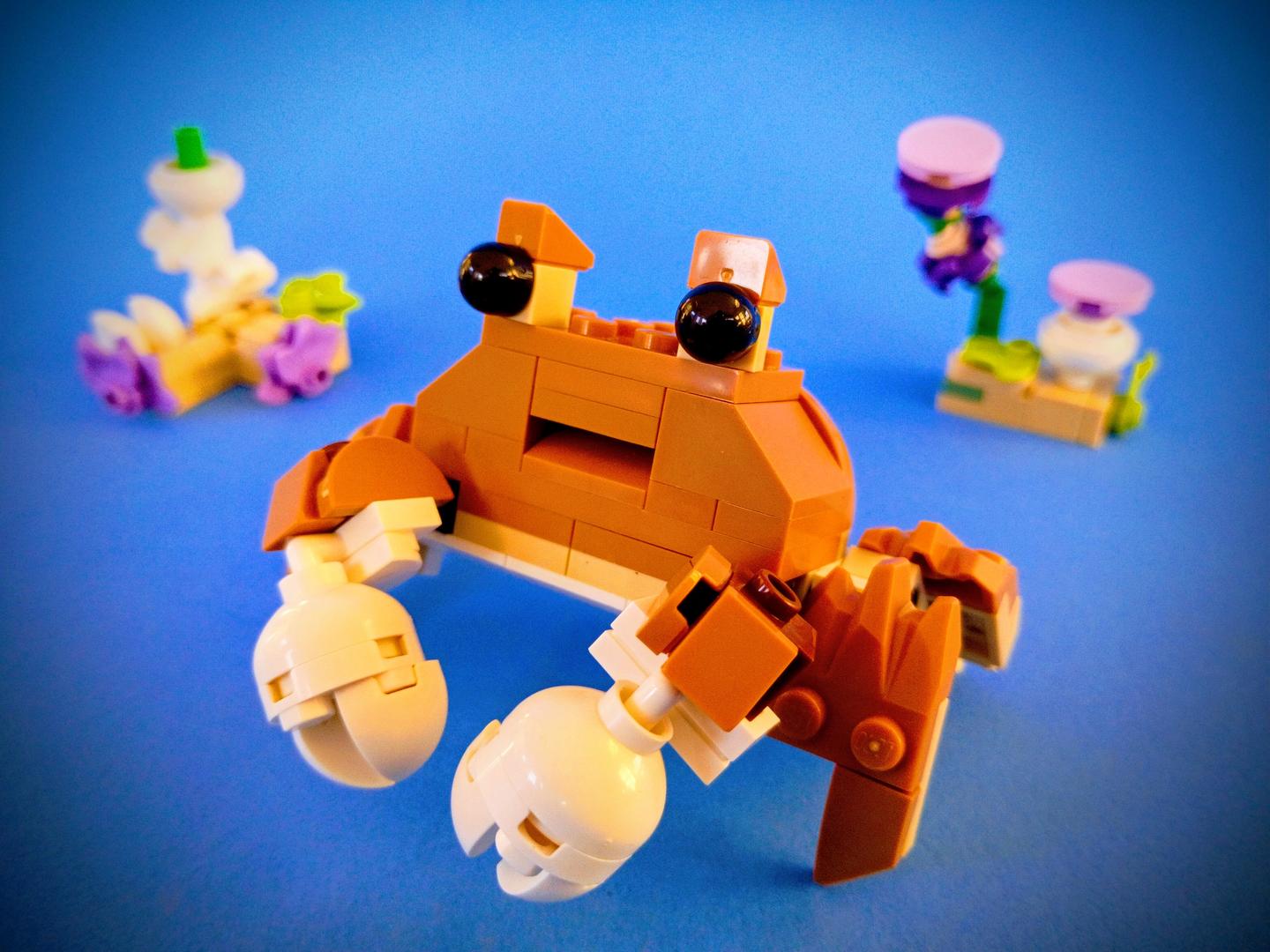 Hamlet the Crab — 31376