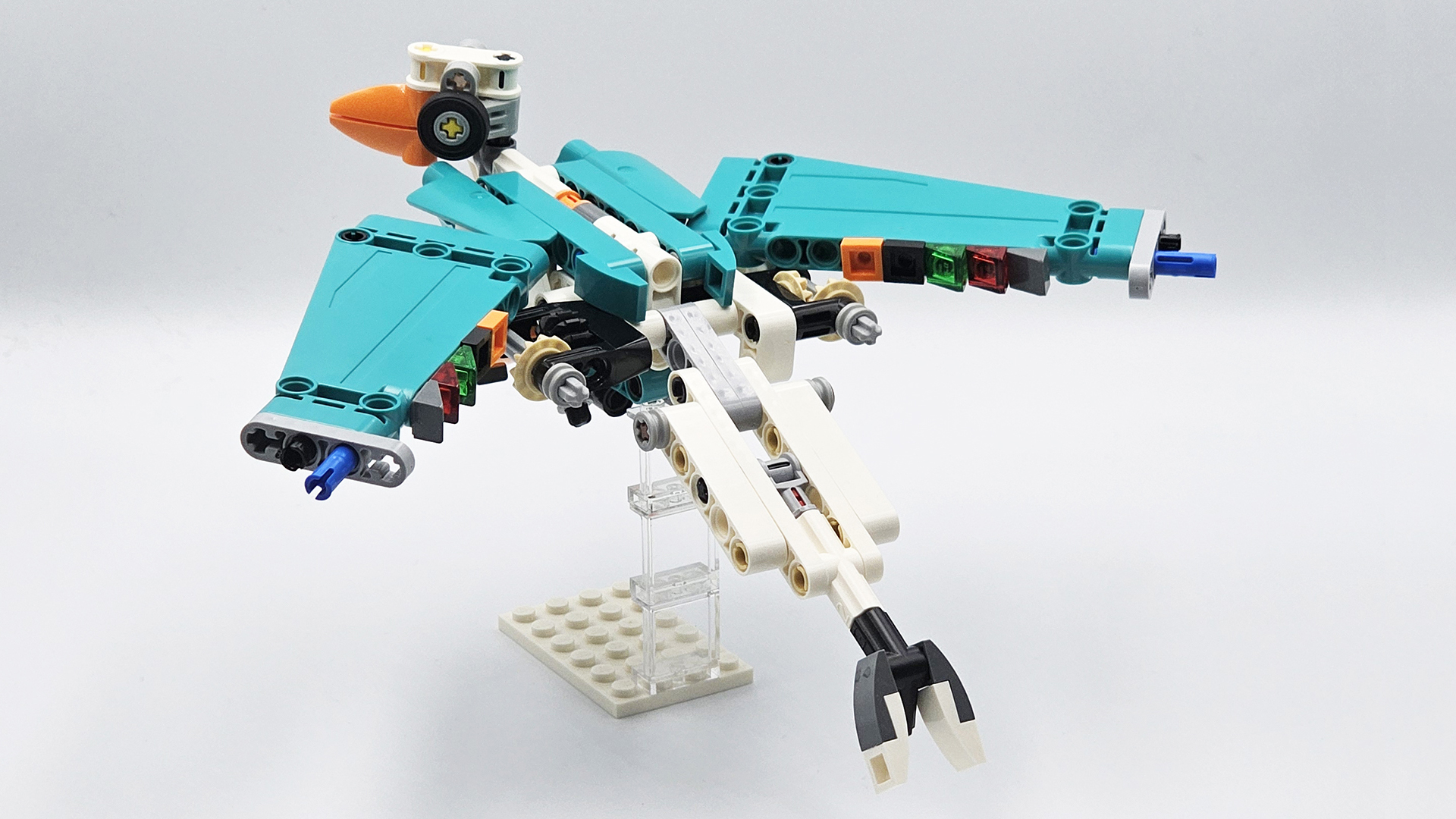 42117 - Bird of paradise