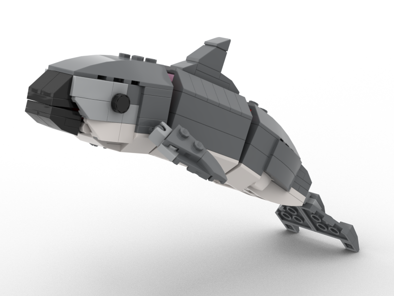 Vaquita