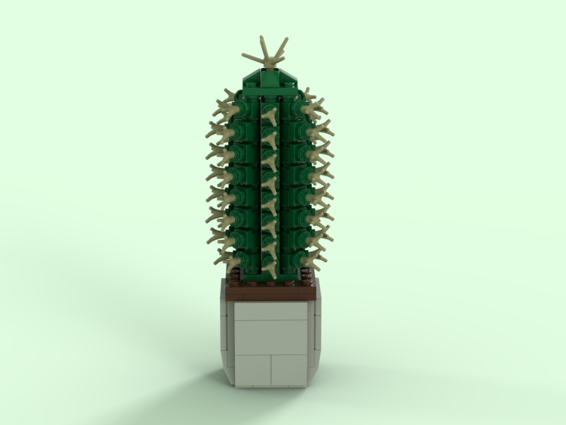cactus
