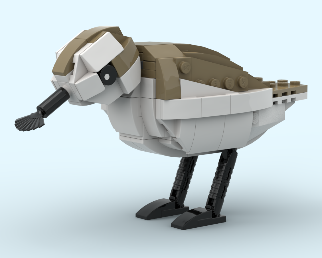 Spoon-billed Sandpiper