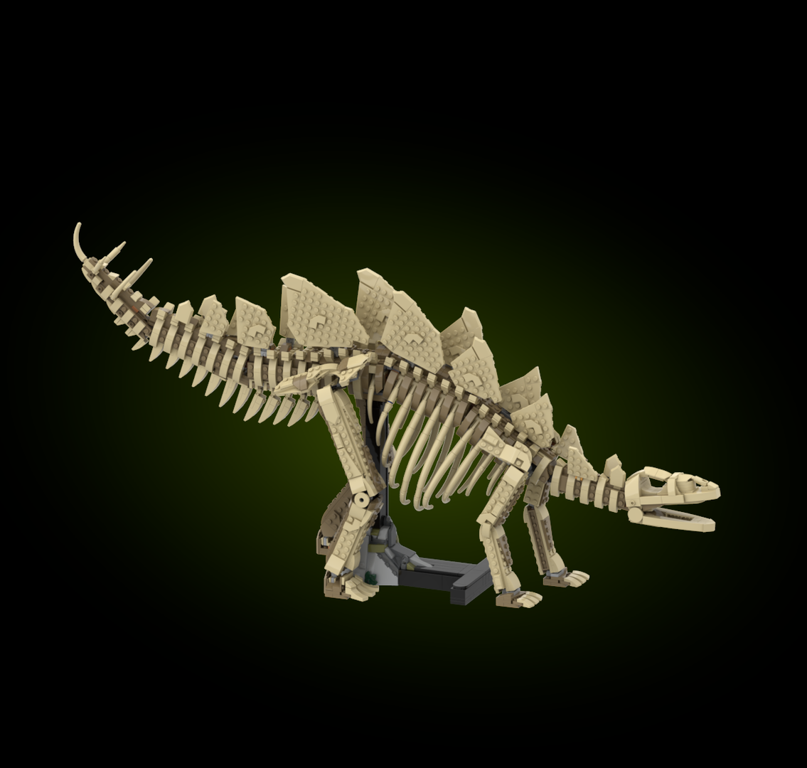Stegosaurus fossil