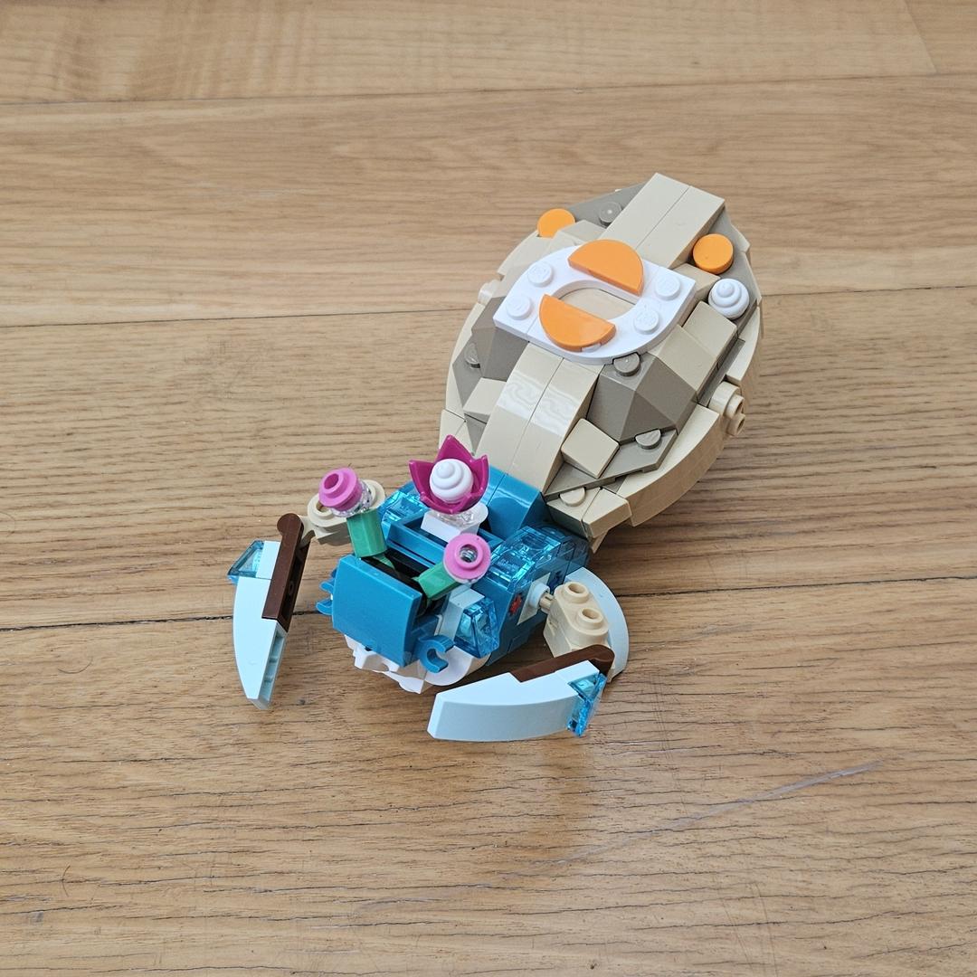31385 Hermit crab