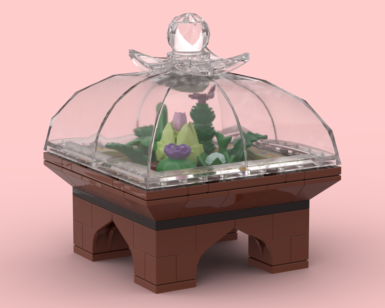 Plant Terrarium
