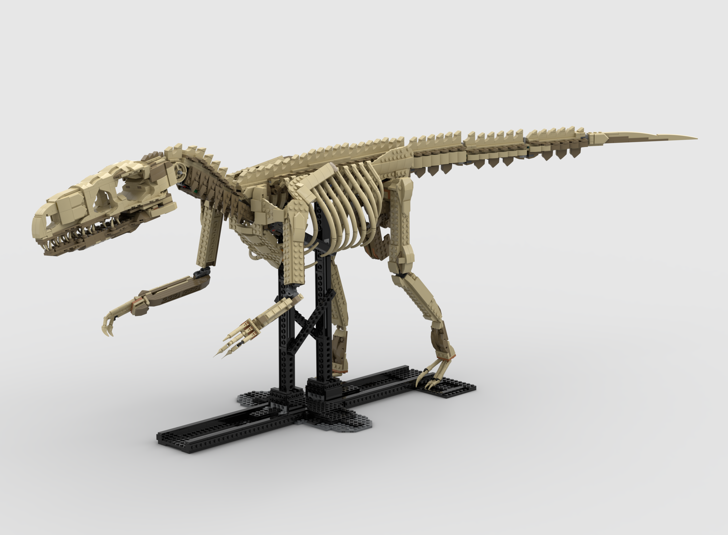 Velociraptor Fossil  (True Scale)