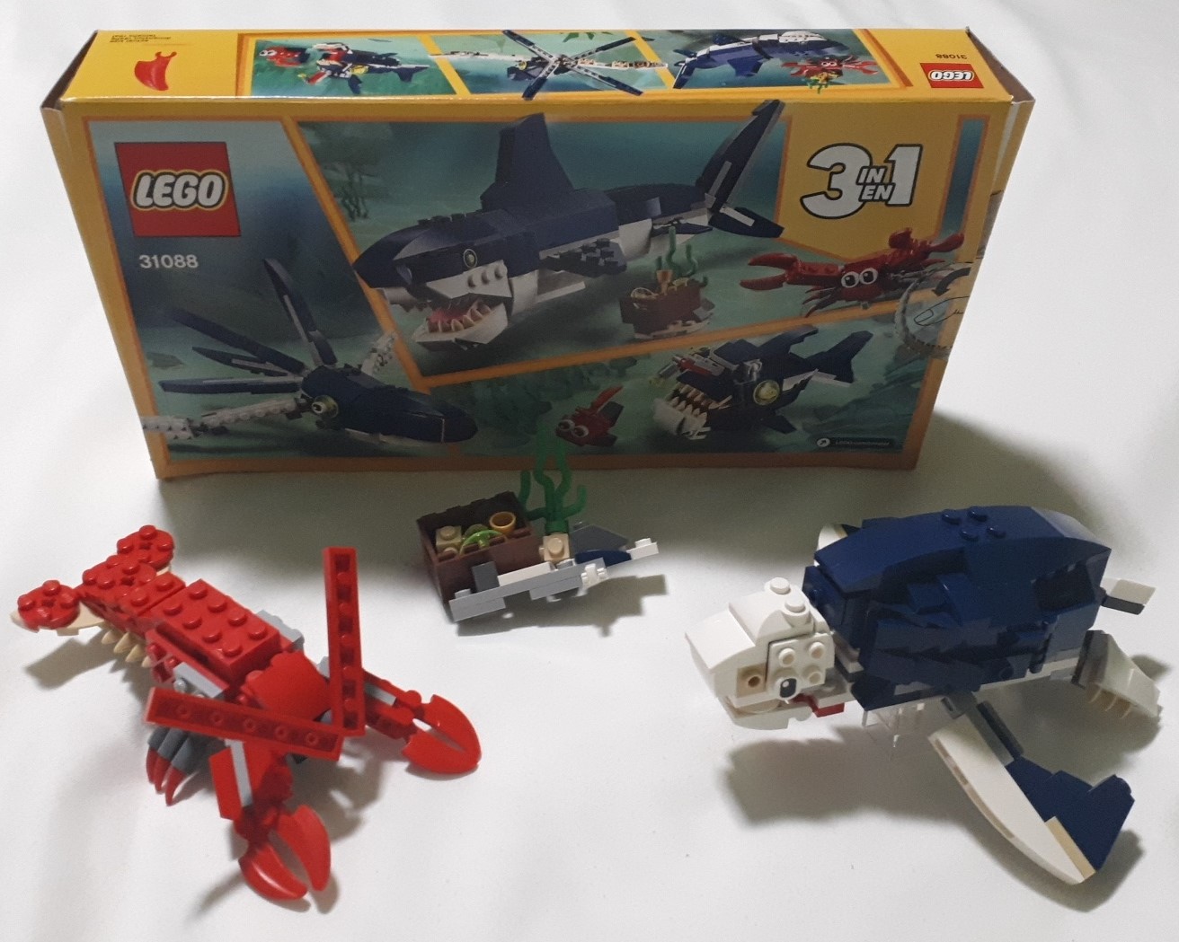 Sea Turtle and Lobster