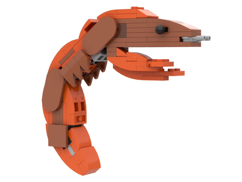 31394 Shrimp alternate build
