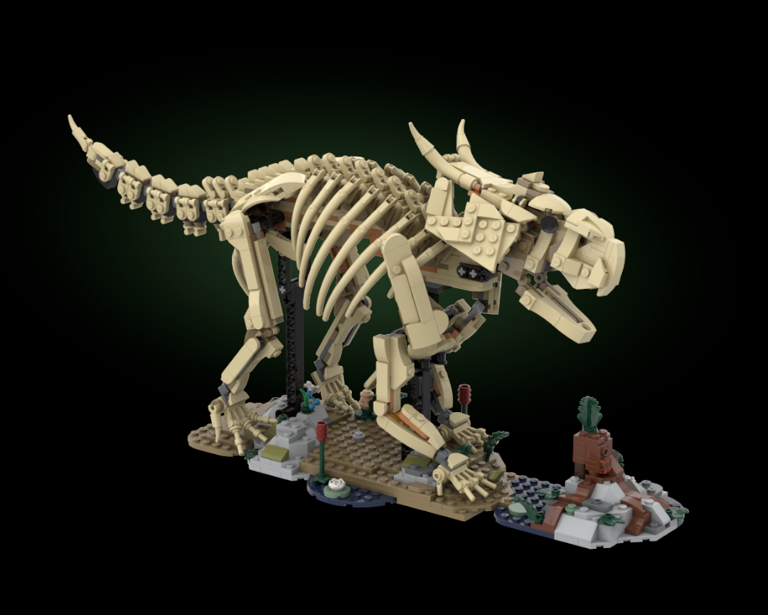 Pachyrhinosaurus fossil alternate build