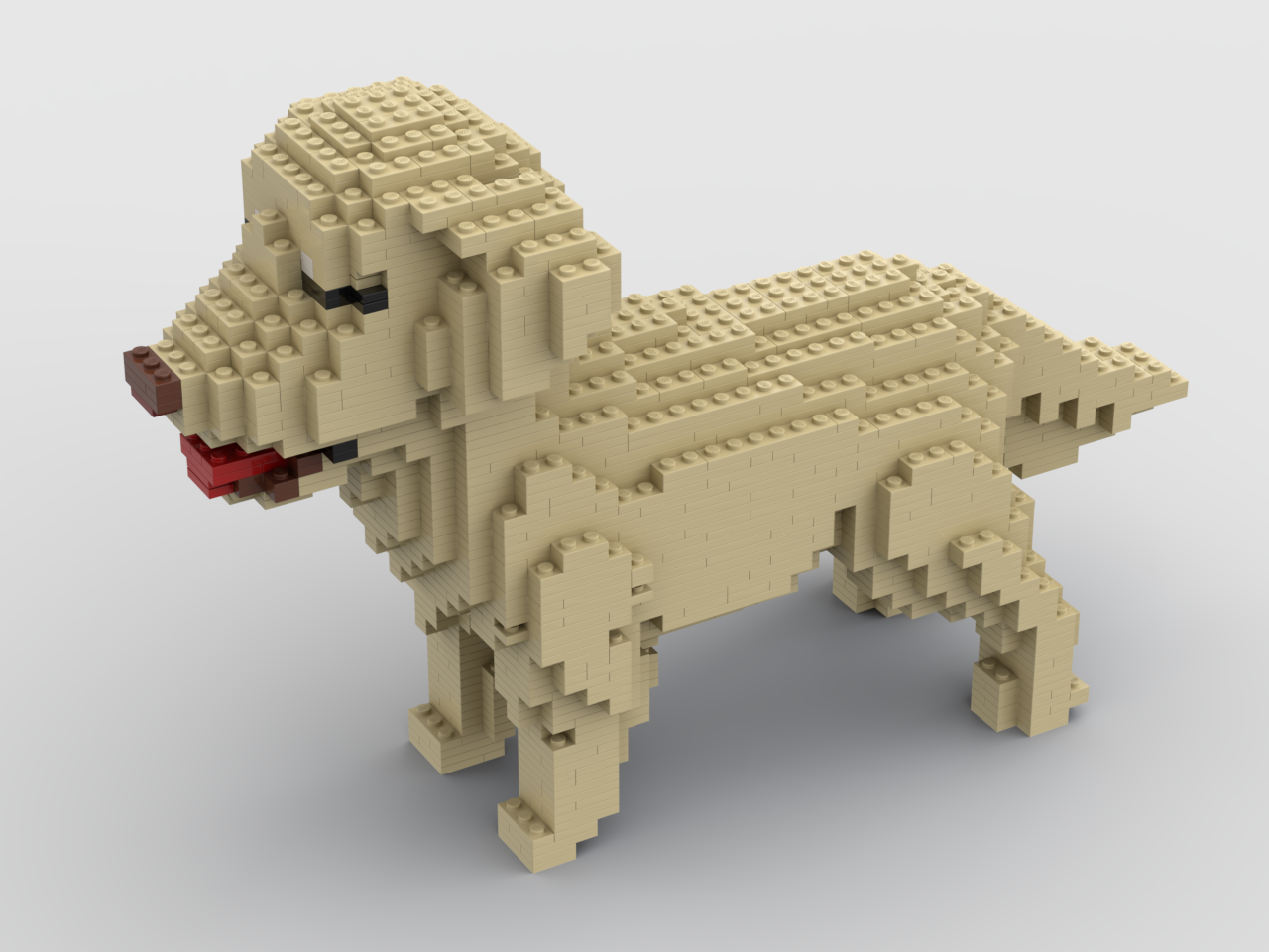 Retriever