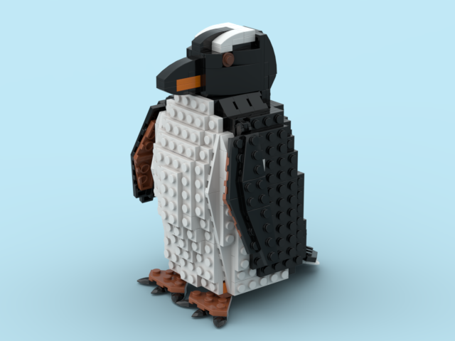 Gentoo Penguin