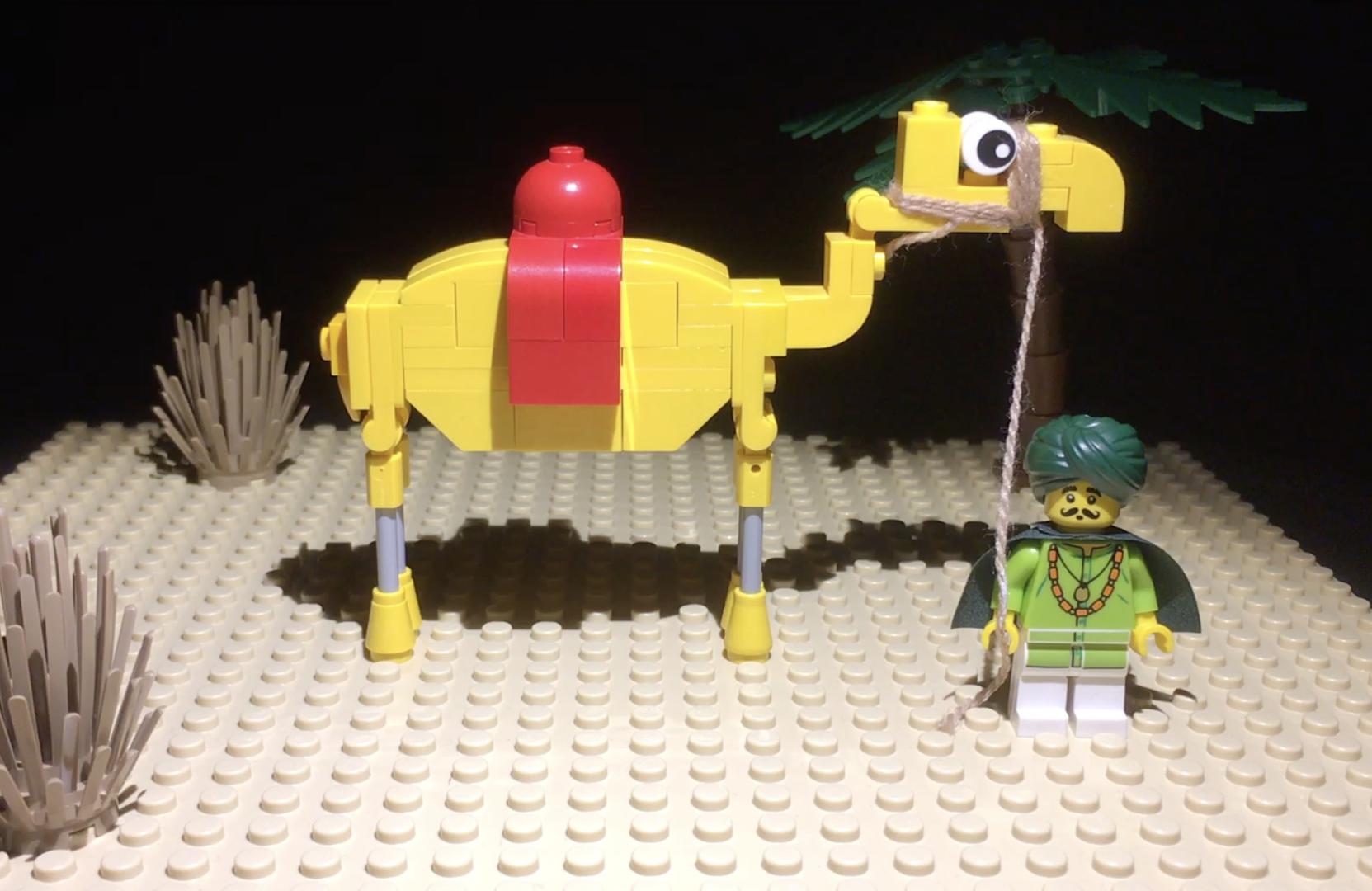 Dromedary, Arabian Camel