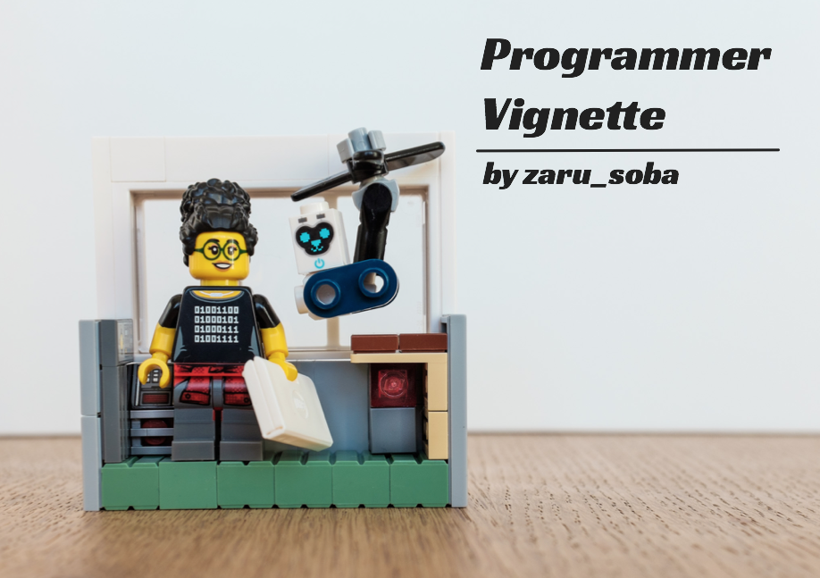 Programmer Vignette