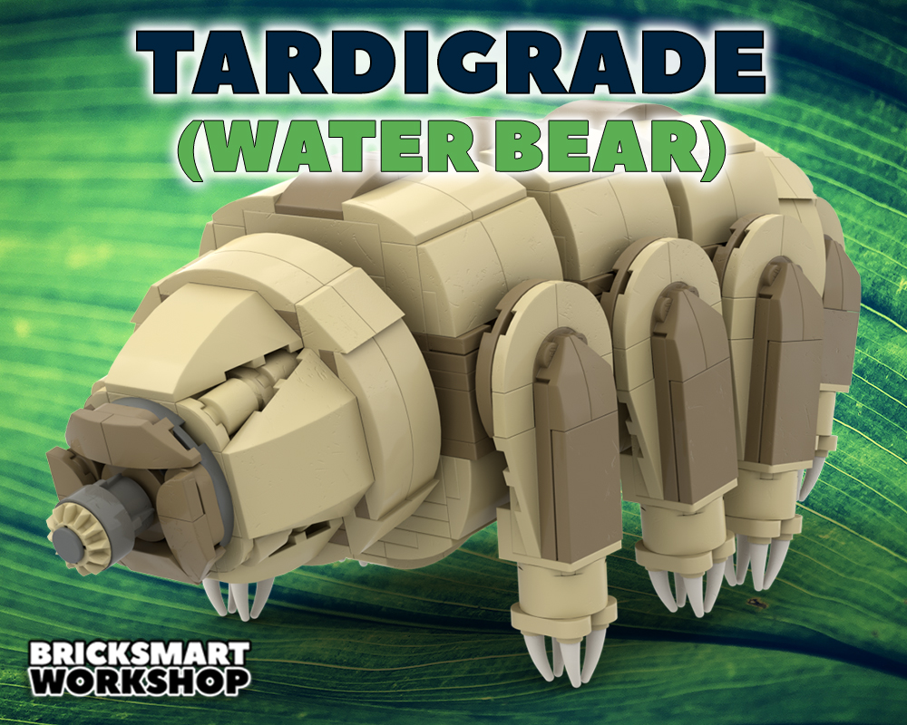 Tardigrade (Water Bear)