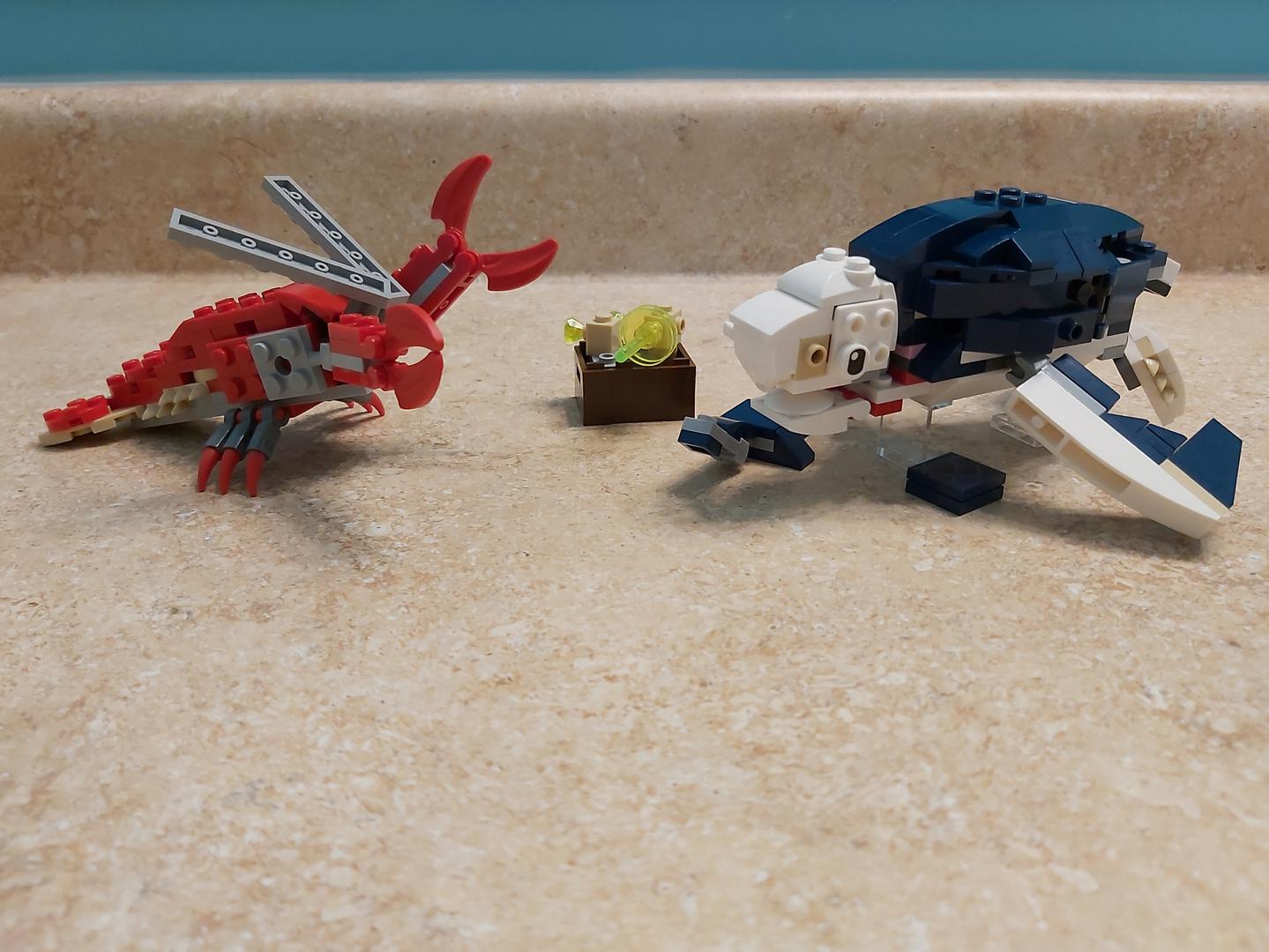 Sea Turtles and Lobster 2.0