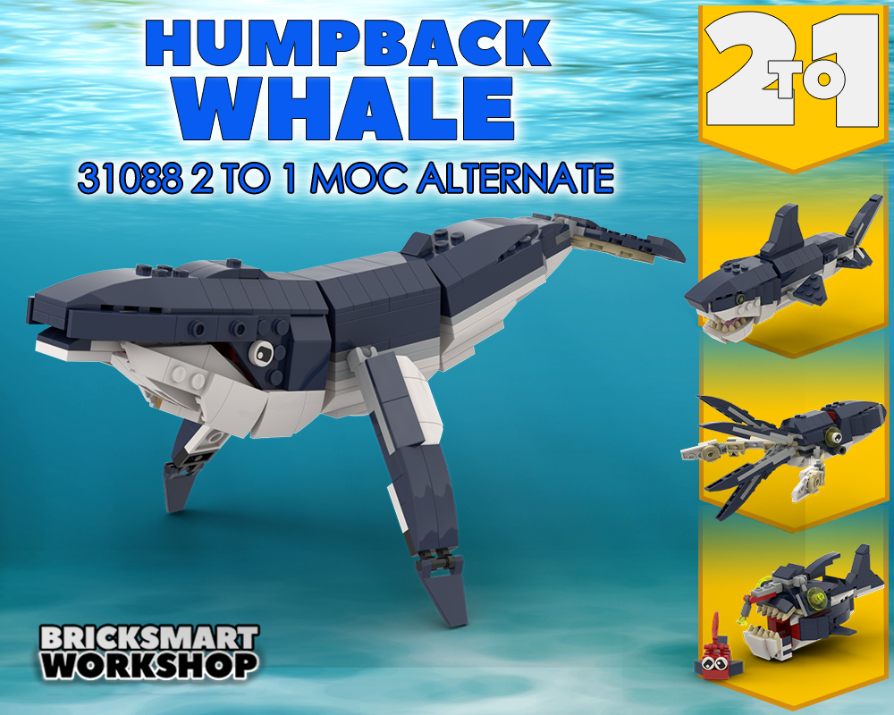 Humpback Whale 31088 2 to 1