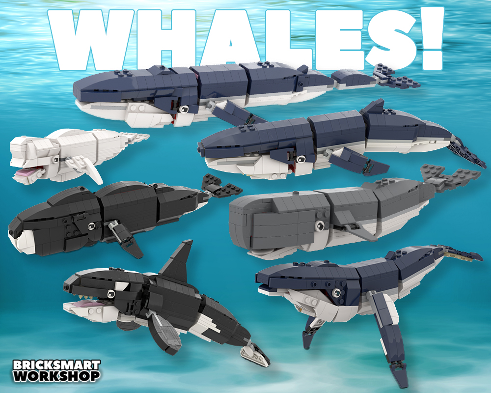 WHALES 31088 2 to 1 PLUS!