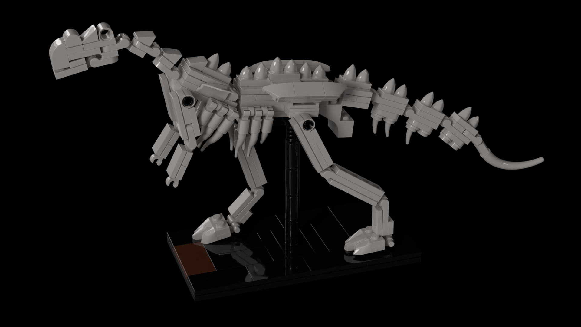 Muttaburrasaurus Fossil