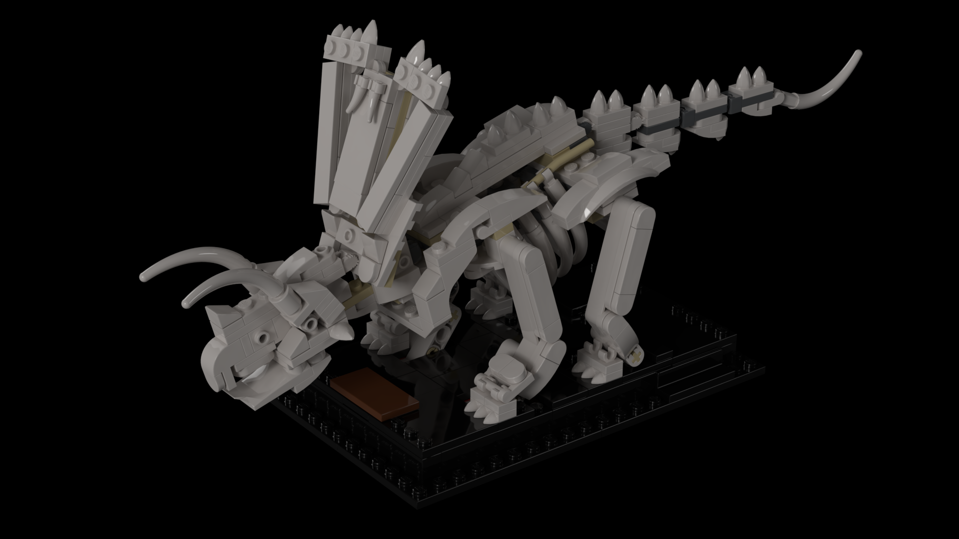 Pentaceratops Fossil