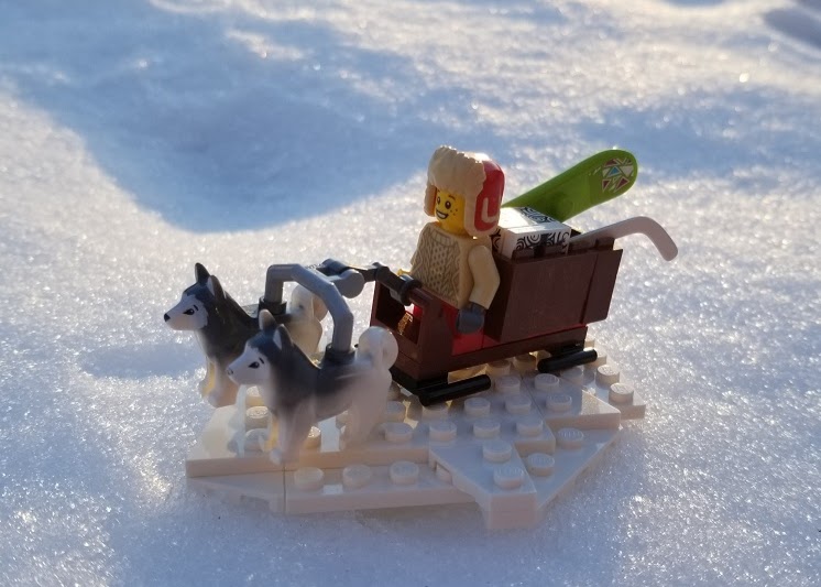 Dog Sleigh In Snow