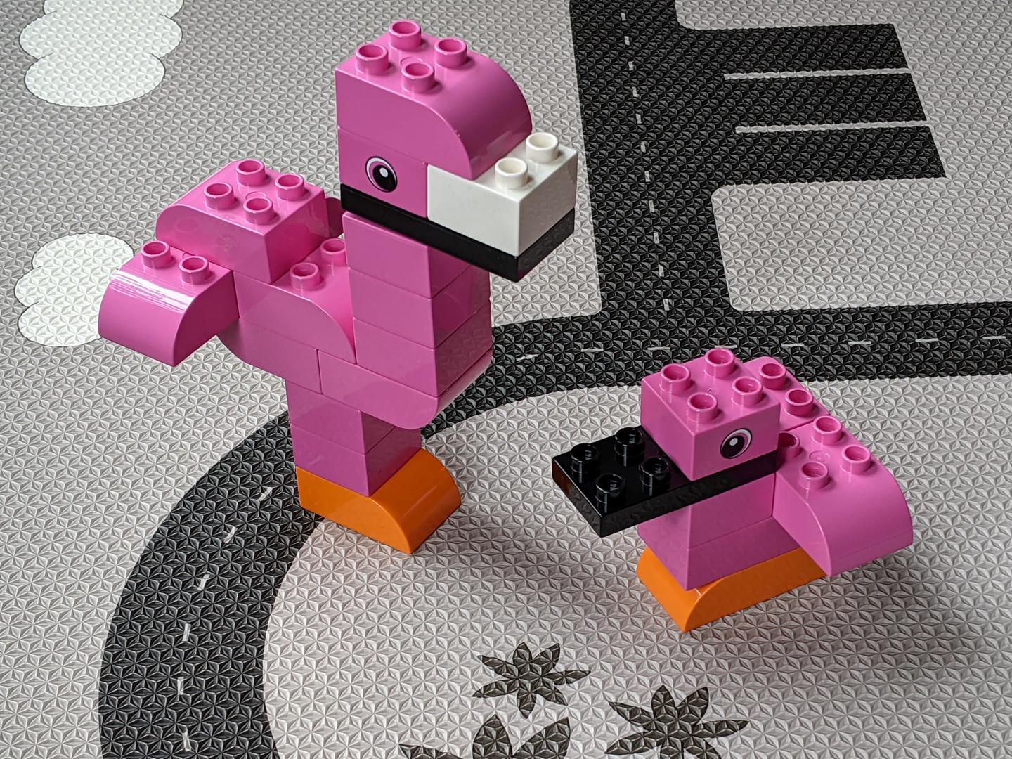 Mom and baby flamingo