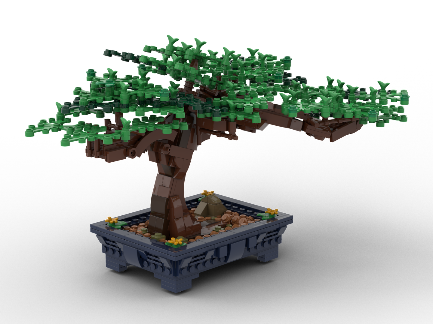 Bonsai Tree