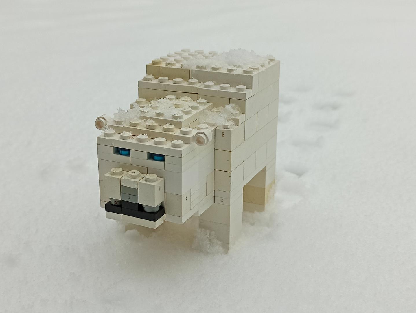 Polar Bear