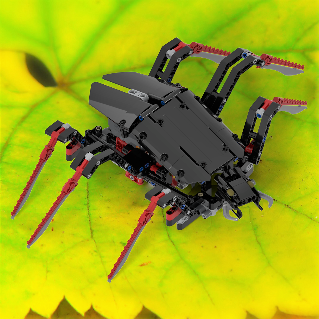 Beetle by two Pull-Back